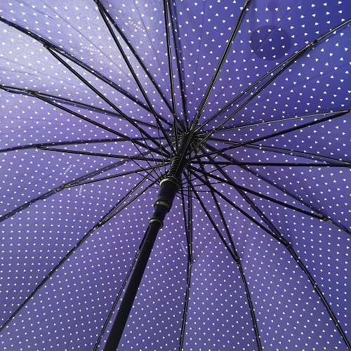 parapluie étoile bleu