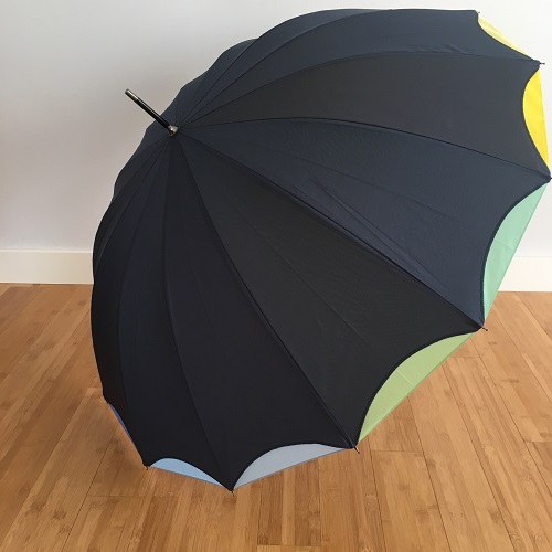 Parapluie mutlicolor 2