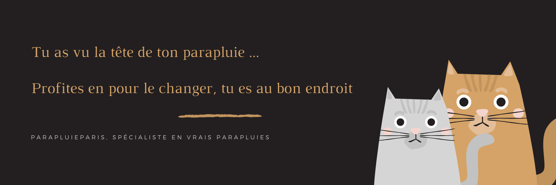 comique chats