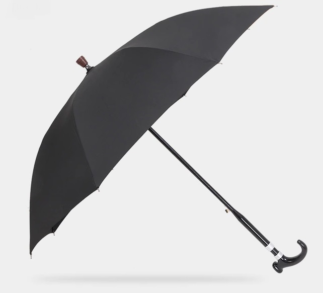 profil parapluie canne noir