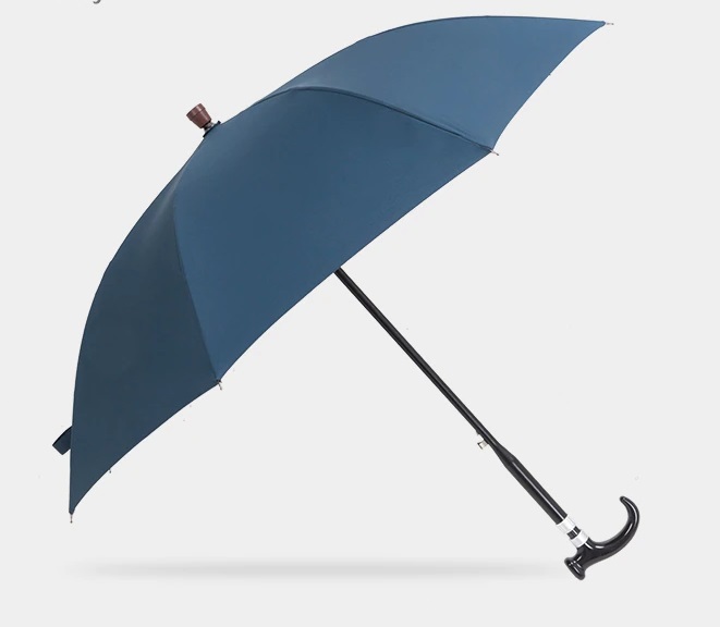 profil parapluie canne bleu