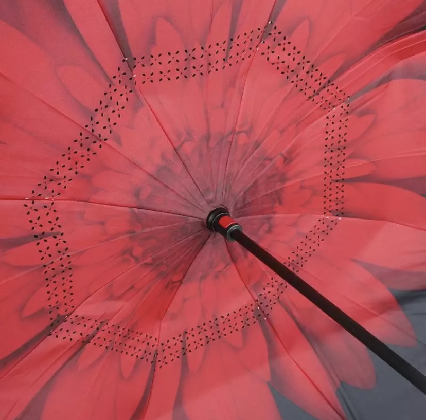 détail toile parapluie inversé daisy rouge
