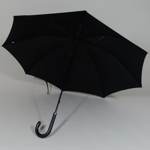 parapluiegovernor3