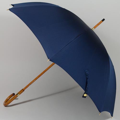 parapluiemister2