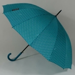 parapluieetoilebleu1