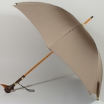 parapluieaviateur3