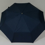 parapluiebaltibluestar2
