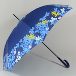 parapluieprintempsII1