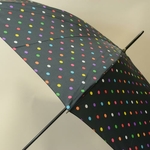 parapluiepoiscolore1