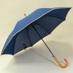 parapluiebluewood1