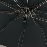 parapluiepliantchavane5