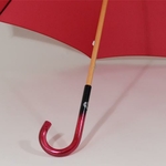 parapluierougenacarat4