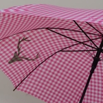 parapluieheidirose5