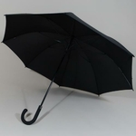 parapluieoxford1