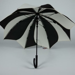 parapluiesunflowernb5