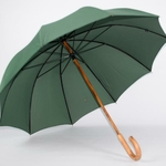 parapluie de berger vert 2