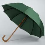parapluie de berger vert 3