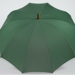 parapluie de berger vert 4