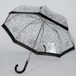 parapluie transparent noir 2