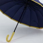 parapluie canne femme holi 5