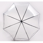 Parapluie inversé transparent haut