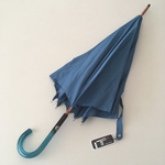 Parapluie bleu horizon 5