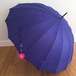 parapluie étoile bleu 2