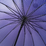parapluie étoile bleu
