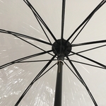 parapluie Transparent avec mat noir détails