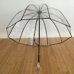 parapluie transparent avec mat noir vue face