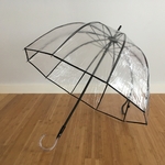 parapluie transparent avec mat noir vue profil