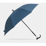 profil parapluie canne bleu