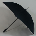 parapluiegovernor2