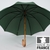 parapluie de berger vert 1