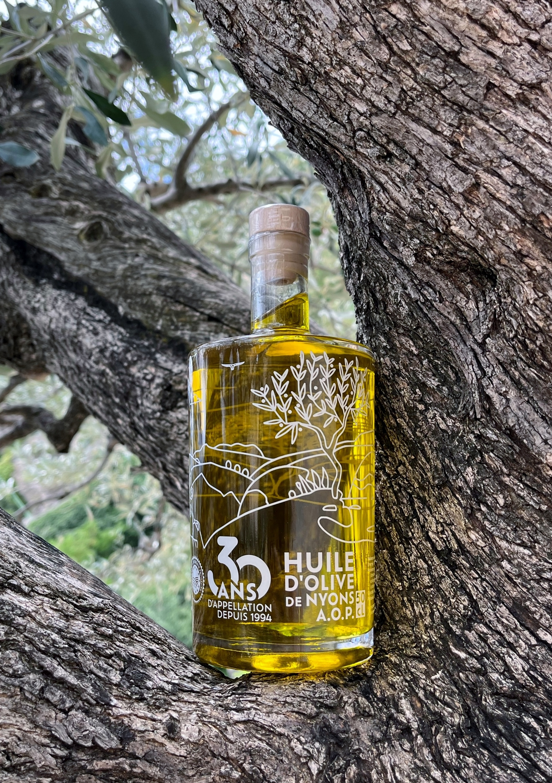 Distributeur Huile D'olive Bec Verseur Otauoaea Lot De 2 Bouteille Huile 500ml Distributeur Huile Ensemble Avec étiquettes Entonnoir