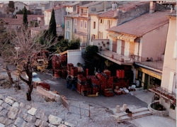 apport des olives devante le moulin2 - extérieur