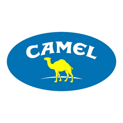 Sticker CAMEL TROPHY ref 7