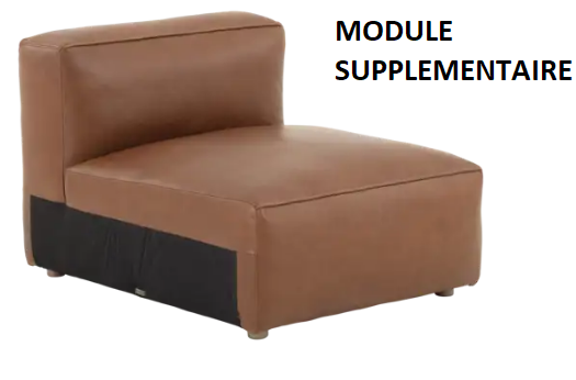 module-canapé-supplémentaire