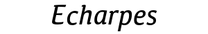 echarpe21