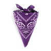 bandana-violet-AT-00147-F16