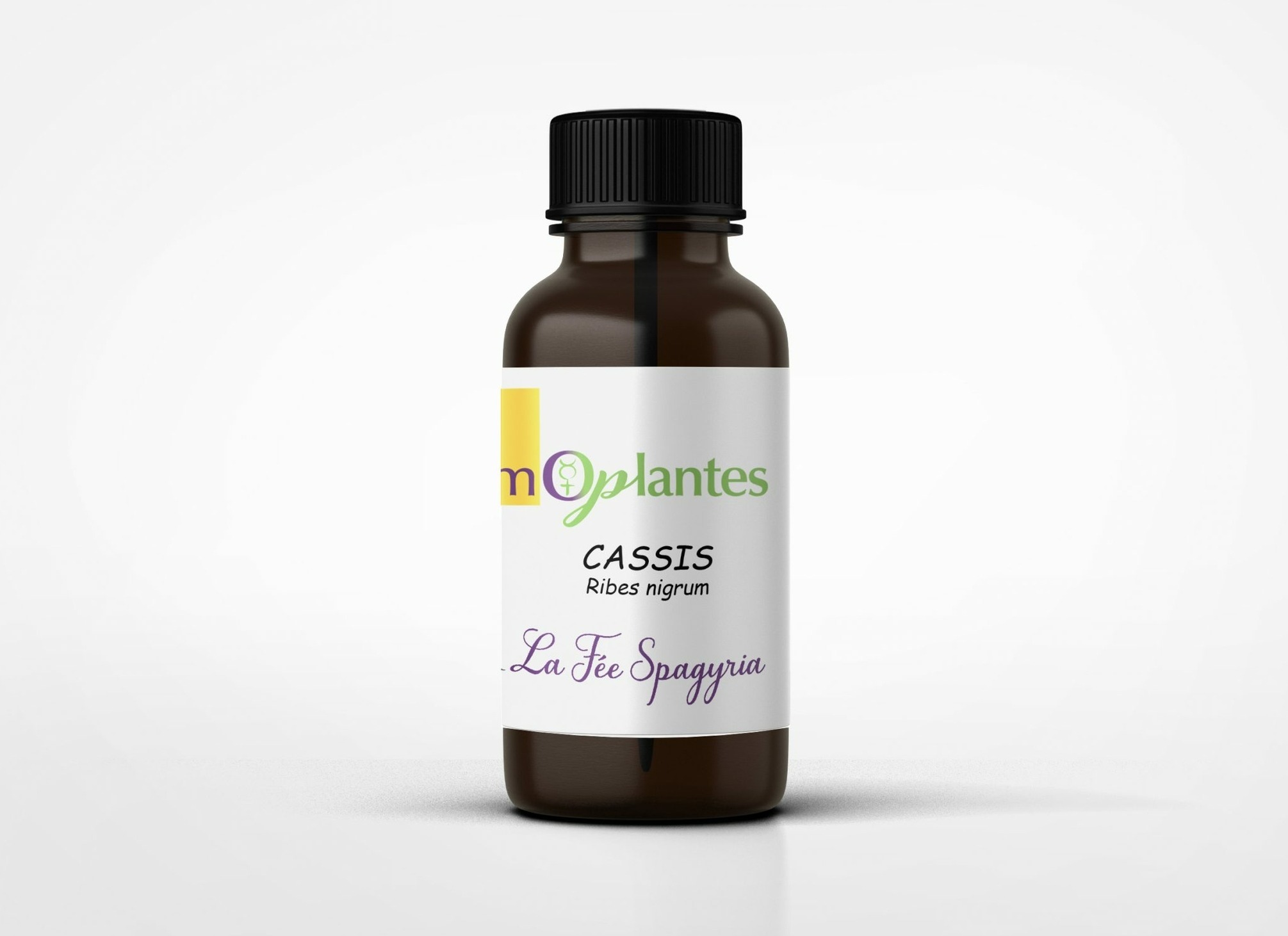CASSIS-Spagyrique