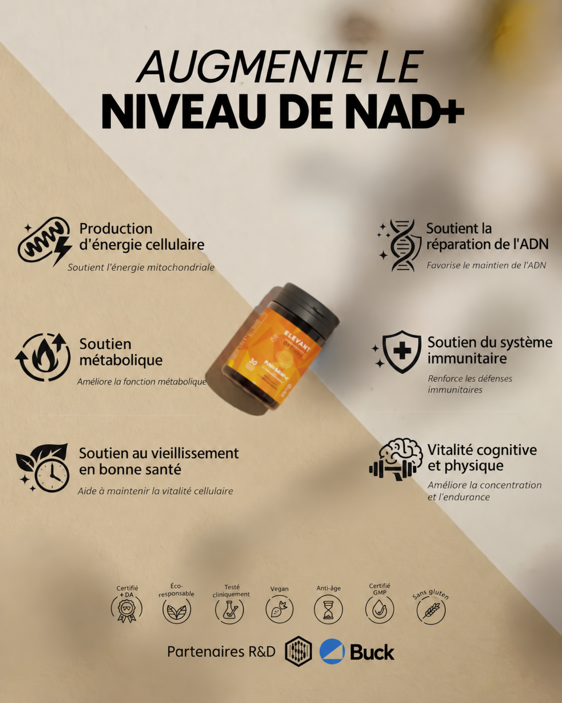 Optima augmente le niveau de NAD+