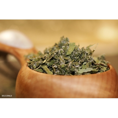 Feuilles de Myrtillier sauvage de Laponie