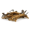 Cordyceps Sinensis, le Champignon Chenille
