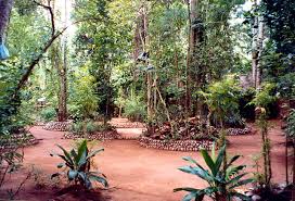 Jardin des épices à Matale