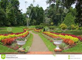 peradeniya