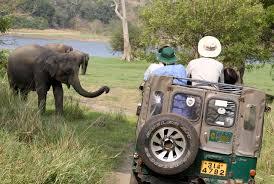 parc yala