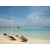 maldives cocconing