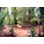 jardin d epices