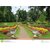 peradeniya